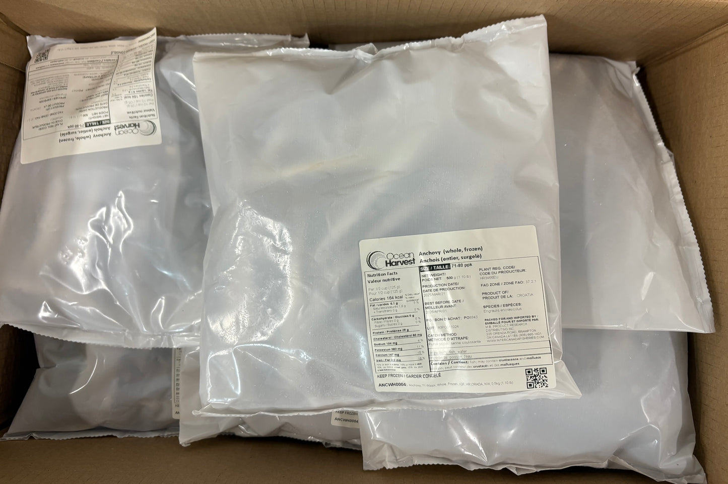 Anchovy, 71-80ppk, Whole, Frozen, IQF, HR, NW, 5kg (11.023lb)