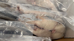 King Fish, 10-12oz, Steaks, Frozen, IWP, NW, 10lb