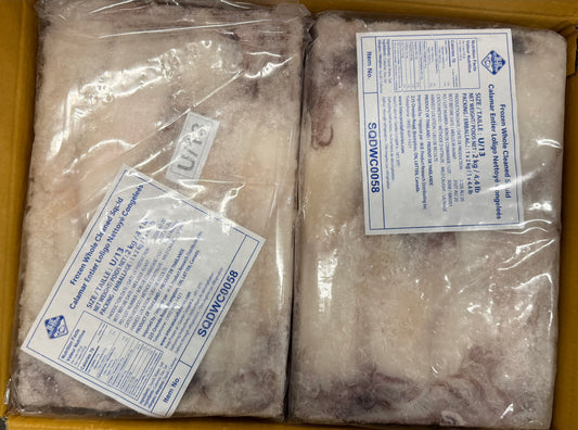Squid (Loligo For.), U13, Whole, Cleaned, Frozen, Thailand, Blue Ocean, NW,12kg, 6 x 2kg (26.46lb)