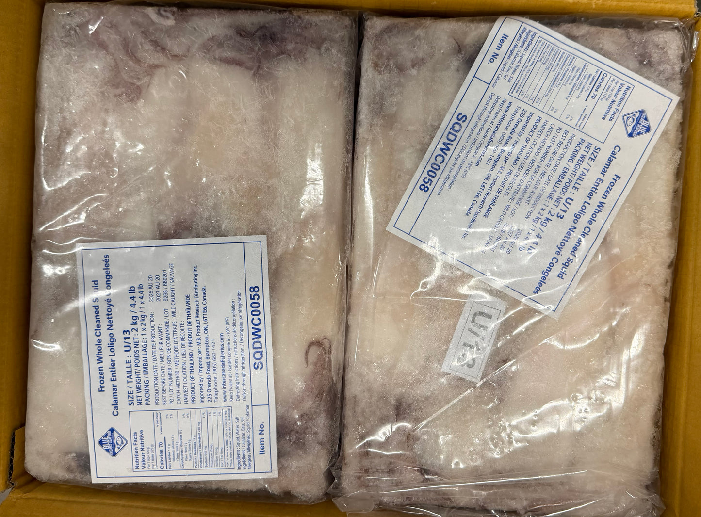 Squid (Loligo For.), U13, Whole, Cleaned, Frozen, Thailand, Blue Ocean, NW,12kg, 6 x 2kg (26.46lb)