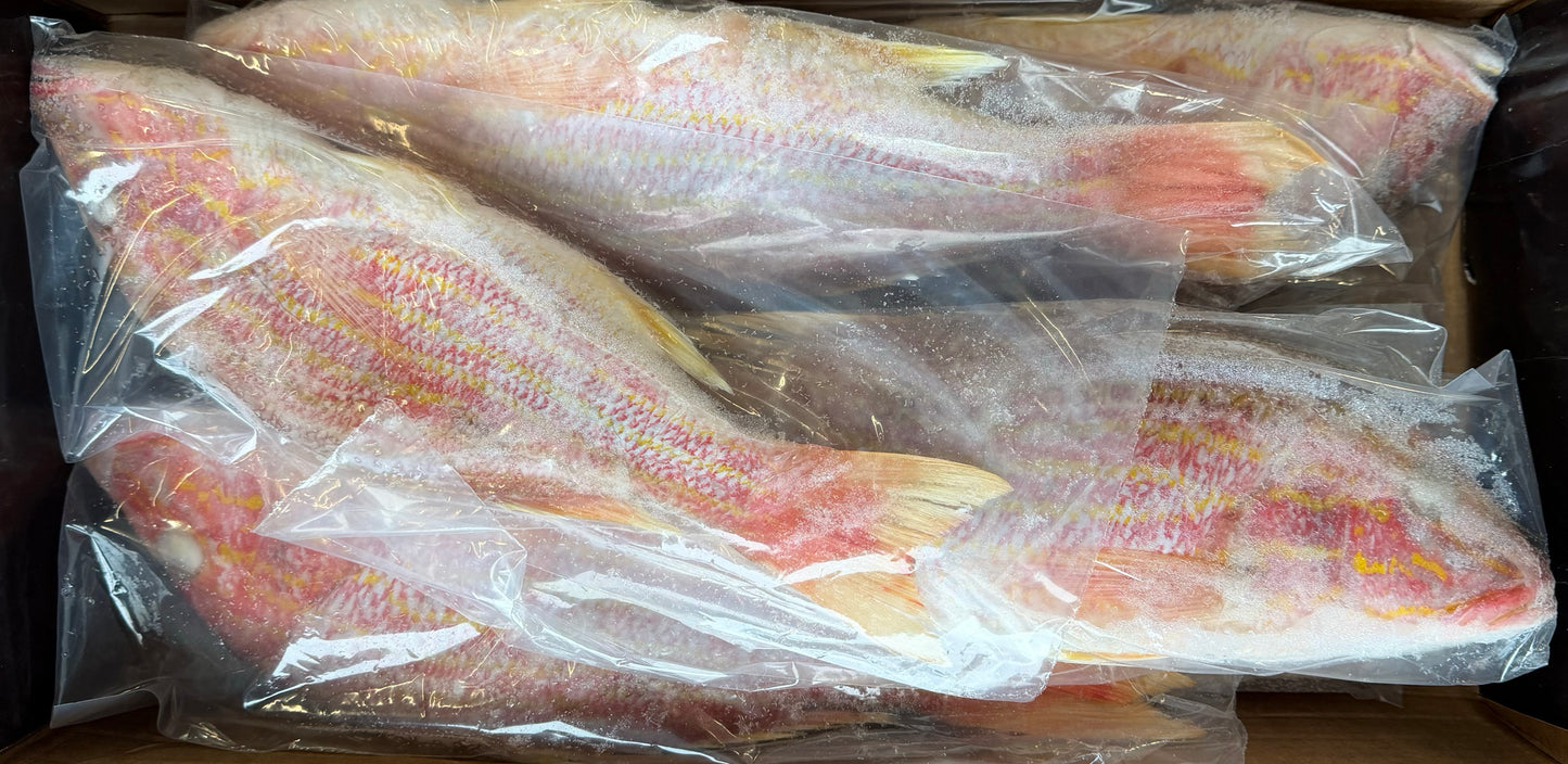 Snapper (Lane), 1.5-2, GGS, Frozen, IWP, Brazil,  NW, 10 lb