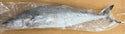 King Fish, 10-15 lb/pc, Whole, Gutted, Frozen, IWP, Venezuela, NW, 60 lb
