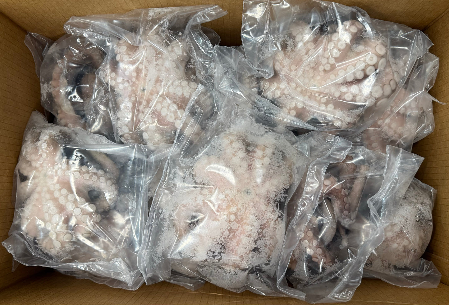 Octopus (Vulgaris, Flower), T7 (0.5-0.8 kg), Frozen, Venezuela, NW, 22 lb