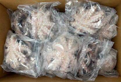 Octopus (Vulgaris, Flower), T7 (0.5-0.8 kg), Frozen, Venezuela, NW, 22 lb
