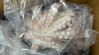 Octopus (Vulgaris, Flower), T7 (0.5-0.8 kg), Frozen, Venezuela, NW, 22 lb