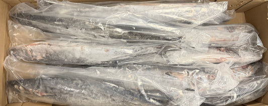 King Fish, 5-10 lb/pièce, entier, éviscéré, congelé, NW, 60 lb