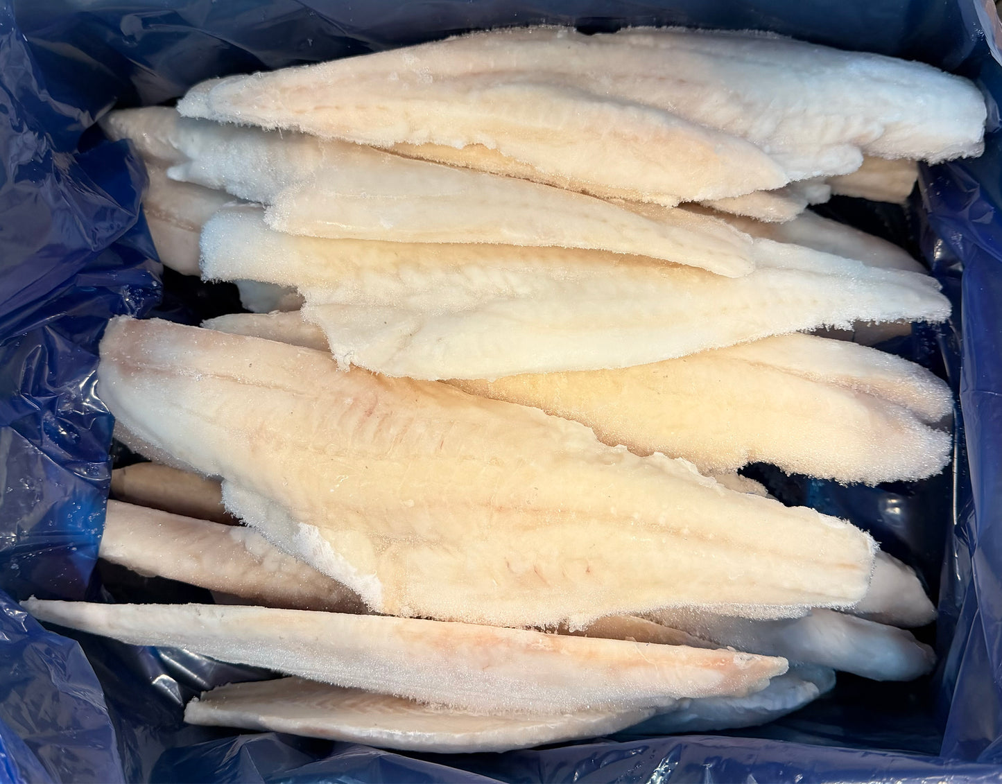 Haddock (Chemfree),8oz, Fillets, Skinless, Boneless, J-Cut, Frozen, IQF, China, Ocean Harvest,NW, 10 lb