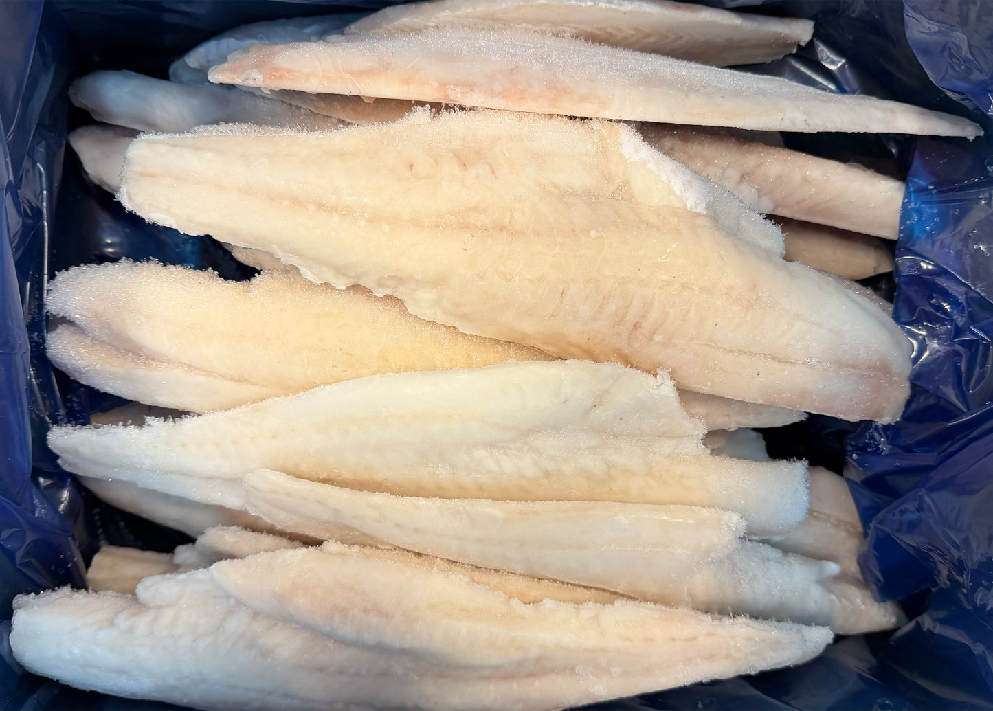 Haddock (Chemfree),8oz, Fillets, Skinless, Boneless, J-Cut, Frozen, IQF, China, Ocean Harvest,NW, 10 lb