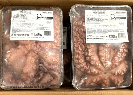 Octopus (Cleaned) 4-6 lb, Tray, Whole, Frozen, Morocco, NW, 1 x 28 lb