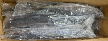 King Fish, 2-3 kg, Whole, Gutted, Frozen, NW,40 lb