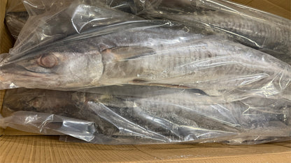 King Fish, 2-3 kg, Whole, Gutted, Frozen, NW,40 lb