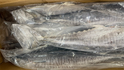 King Fish, 2-3 kg, Whole, Gutted, Frozen, NW,40 lb