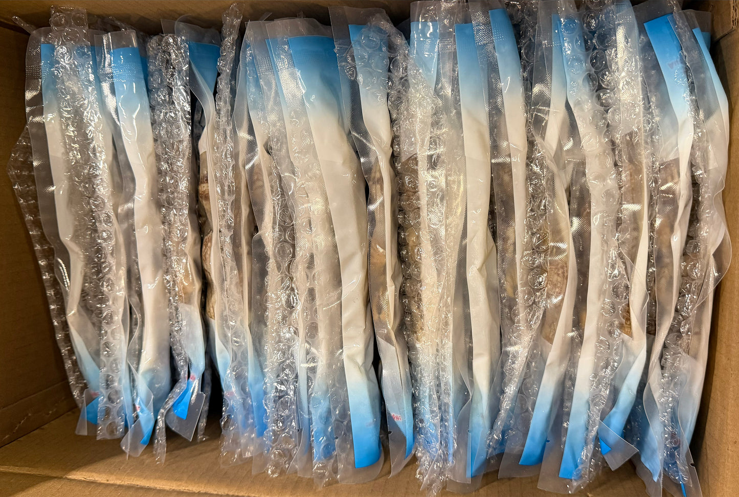 Palourdes (cuites), avec coquille, congelées, NW, 8 kg, 20 x 400 g