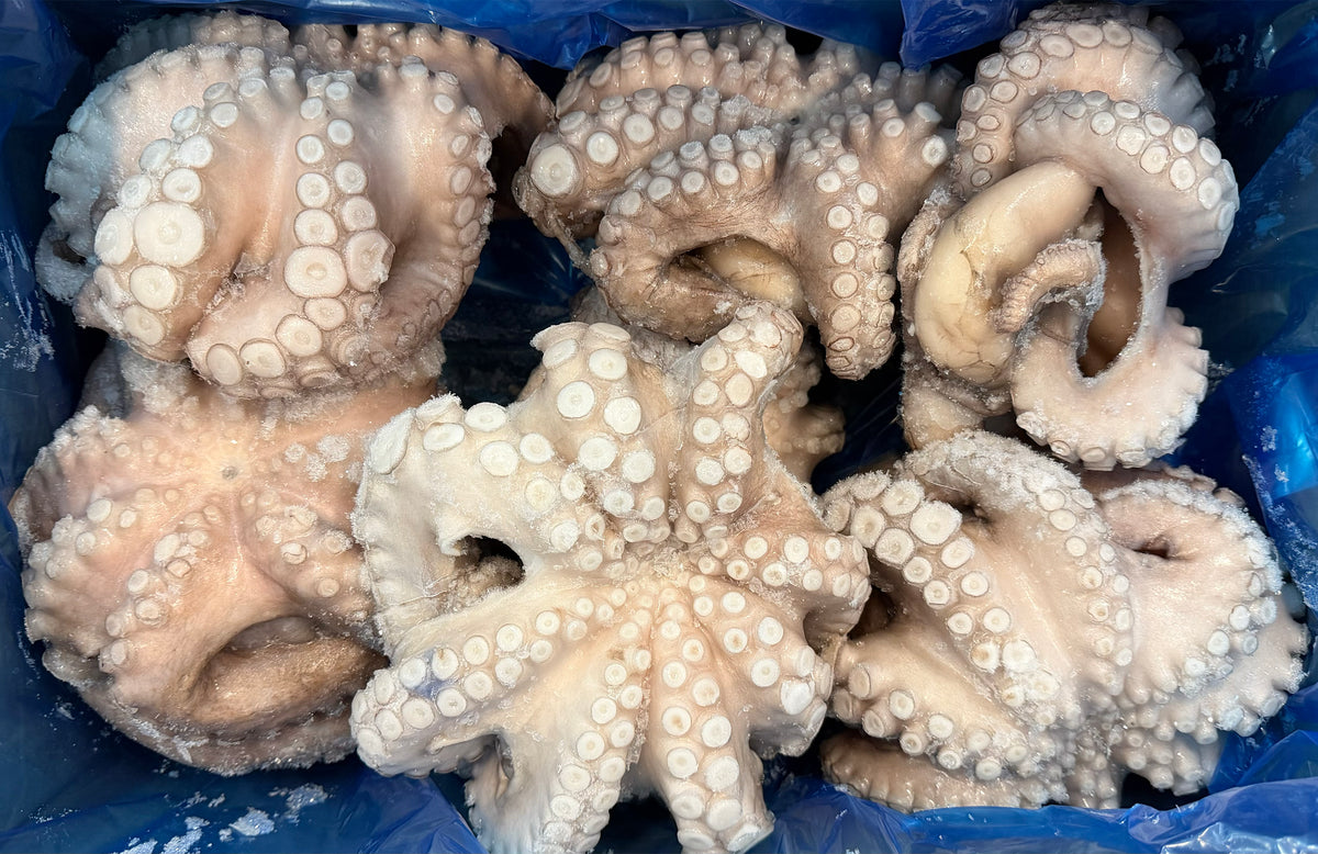 Octopus (Vulgaris), T5 (1-1.5 kg), Whole, Frozen, IQF, Morocco, NW, 12 kg (26.46 lb)