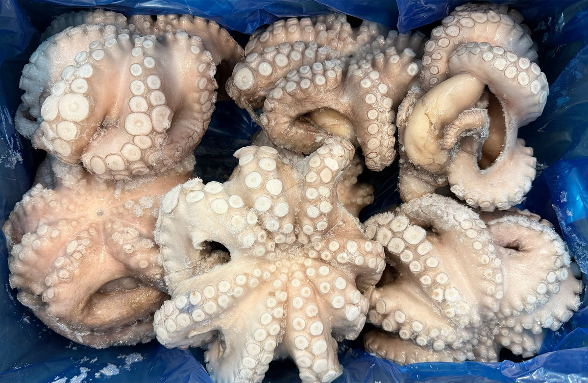 Octopus (Vulgaris), T5 (1-1.5 kg), Whole, Frozen, IQF, Morocco, NW, 12 kg (26.46 lb)