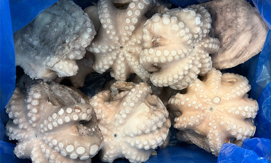 Octopus, (Vulgaris), T6 (0.8-1.2 kg), Whole, Frozen, NW, 12 kg (26.46 lb)