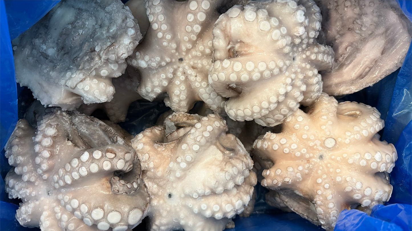 Poulpe, (Vulgaris), T6 (0,8-1,2 kg), entier, congelé, NW, 12 kg (26,46 lb)