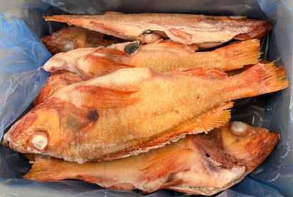 Red Fish 1-2 lb, WGGS, Frozen,  Canada, NW, 10 lb