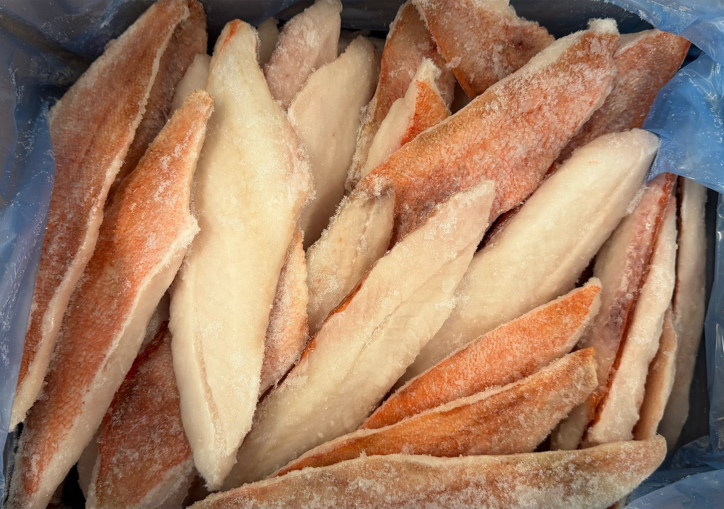 Perch (Ocean), 4-6 oz, Skin On, Boneless, Frozen, NW, 10 lb