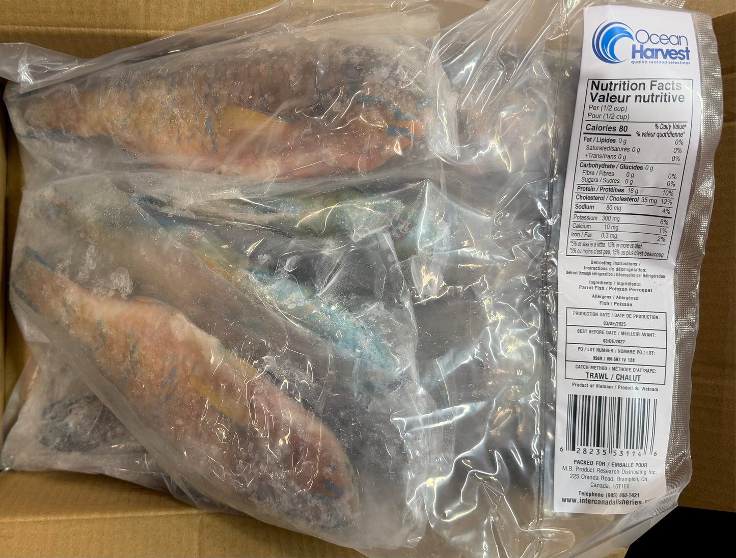 Parrot Fish, 1/2-3/4lb, WGGS, Frozen, IQF, IWP, Vietnam, Ocean Harvest, NW,10lb,2X5lb