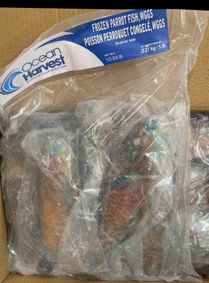 Parrot Fish, 1/2-3/4lb, WGGS, Frozen, IQF, IWP, Vietnam, Ocean Harvest, NW,10lb,2X5lb