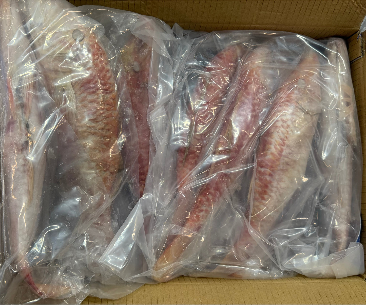Mullet (Red), 70-140g /pc, 50-200g(CNF), WGGS, Frozen, IQF, IWP, NW, 10 lb , (2x5lb)