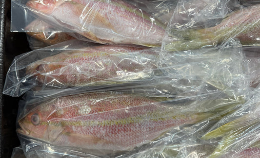 Snapper (Yellow Tail),1/2-3/4lb, GGS, Frozen, Mexico, DSA, NW, 10lb