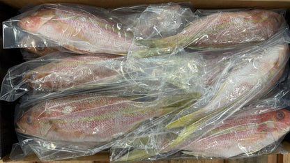 Snapper (Yellow Tail),1/2-3/4lb, GGS, Frozen, Mexico, DSA, NW, 10lb