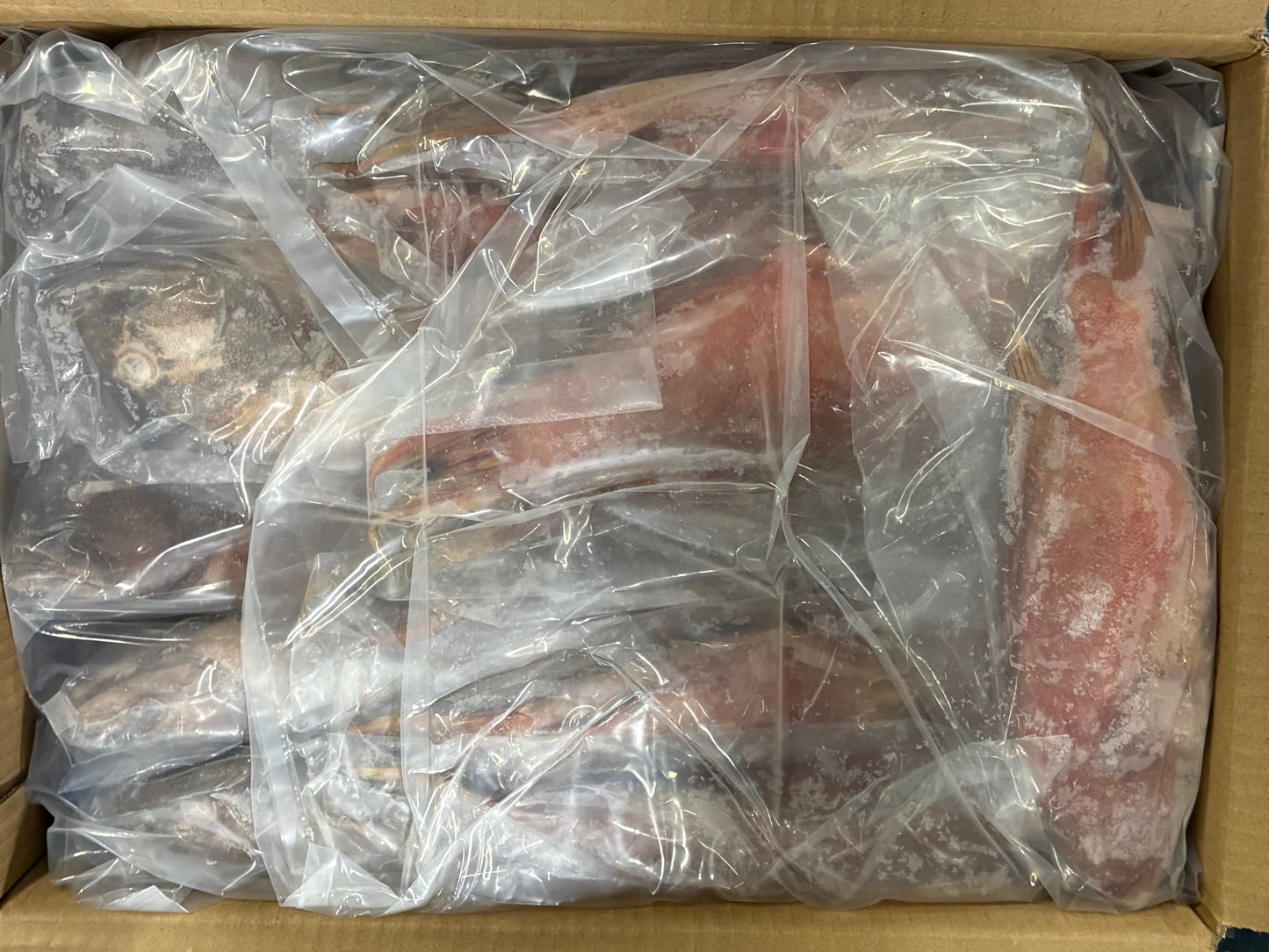 Frozen red grouper fish wrapped in clear plastic packaging inside a cardboard box.