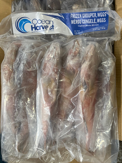 Frozen grouper fish packaged in clear plastic bags with a blue and white Ocean Harvests label on the right side.