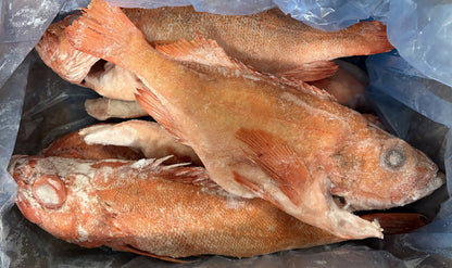Red Fish Extra Large, WGGS, Frozen, Canada, NW, 18 lb