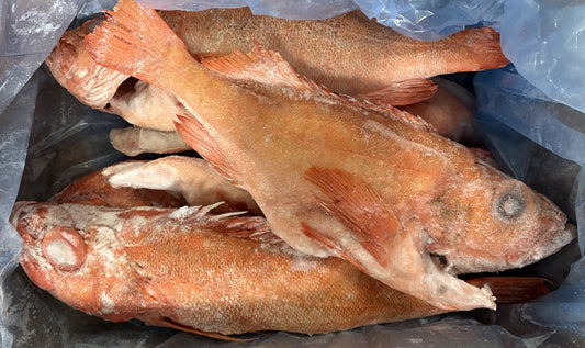 Red Fish Extra Large, WGGS, Frozen, Canada, NW, 18 lb