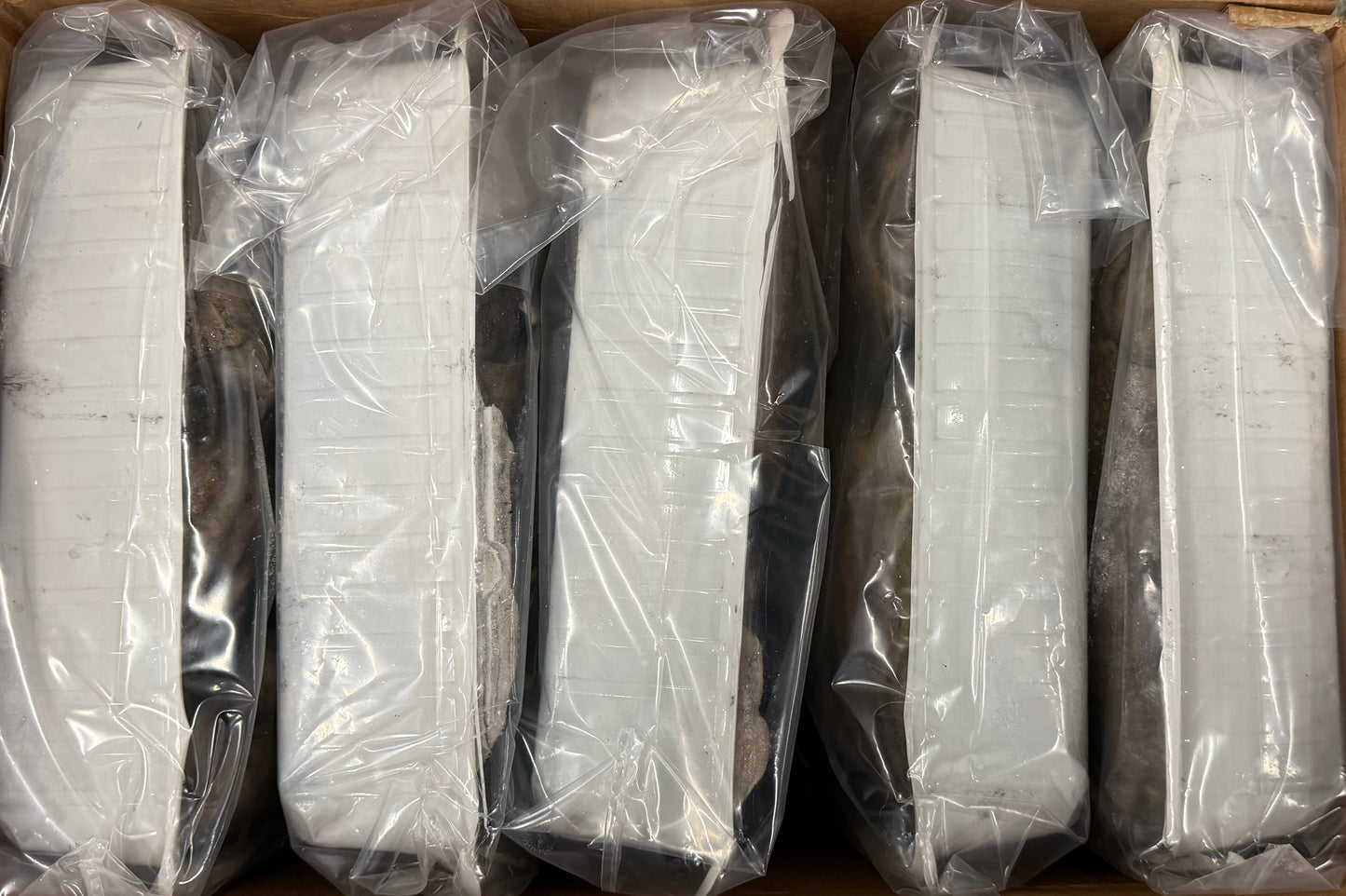 Octopus (Vulgaris), T4, Whole, Frozen, IQF, Morocco, NW, 12 kg (26.46 lb)