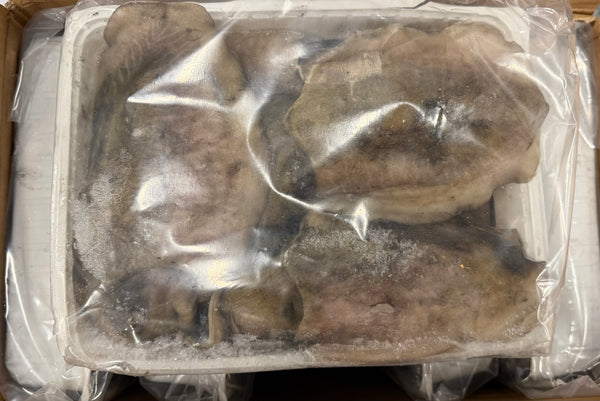 Octopus (Vulgaris), T4, Whole, Frozen, IQF, Morocco, NW, 12 kg (26.46 lb)