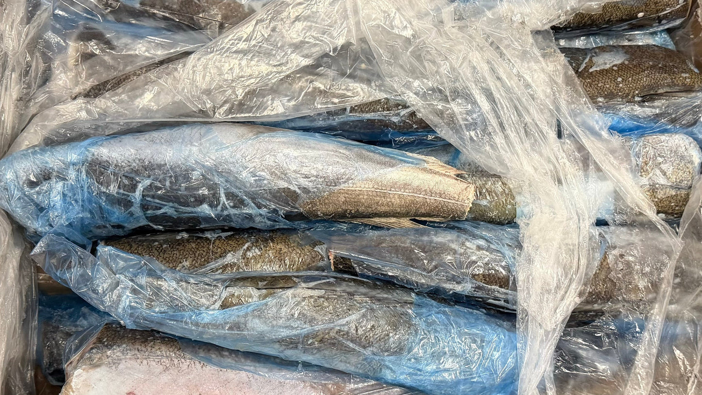 Hake (Atlantic Whiting),400-700g, HGT, Frozen, IQF, NW, 16kg, 35.28lb