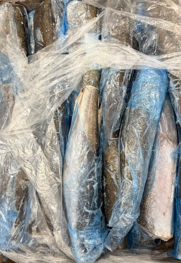 Hake (Atlantic Whiting),400-700g, HGT, Frozen, IQF, NW, 16kg, 35.28lb