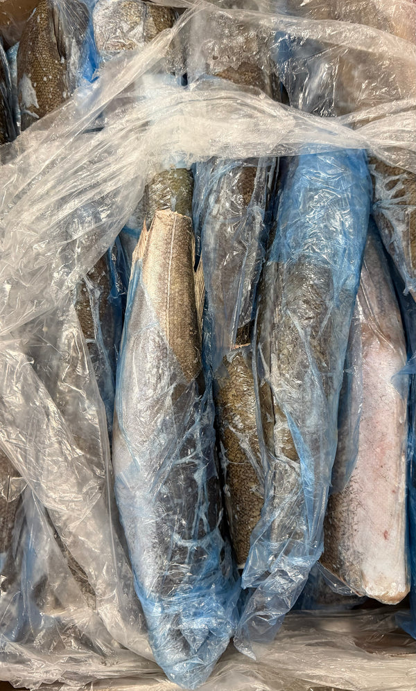 Hake (Atlantic Whiting),400-700g, HGT, Frozen, IQF, NW, 16kg, 35.28lb