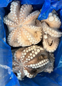 Octopus (Vulgaris), T3, Whole, Frozen, IQF, Morocco, NW, 12 kg (26.46 lb)