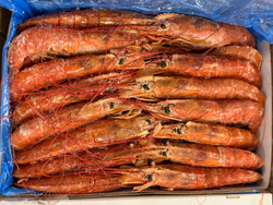 Shrimps(RED),  Whole Raw, Frozen, Grade 1, NW 12kg (6 x 2 kg) (26.46lbs)