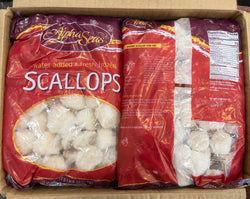 Scallops, 10-20, Frozen, Hokkaido, Japan, IQF, NW, 30lb, 6x5lb