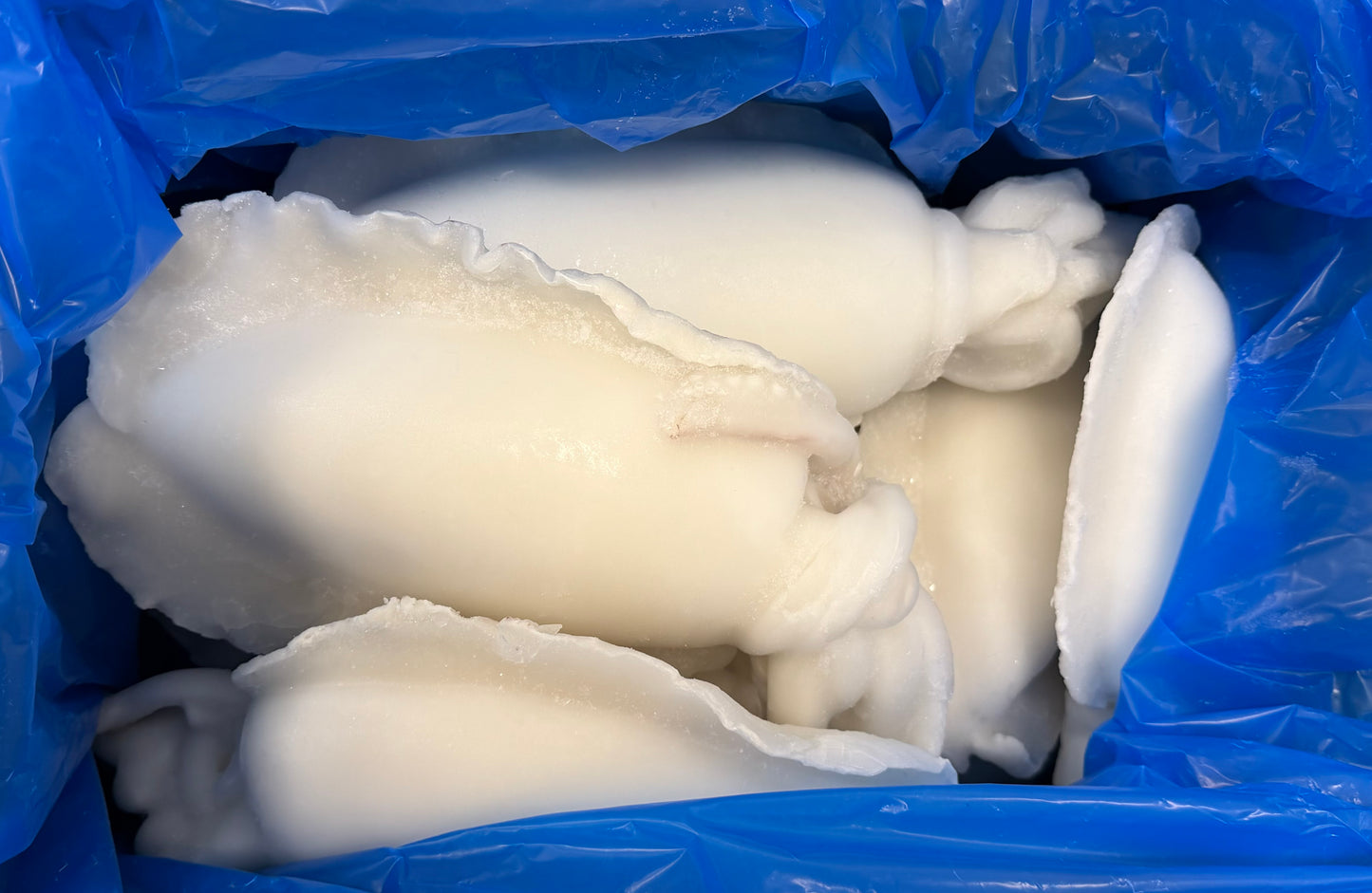 Cuttlefish, Whole (Cleaned),1-2, Frozen, IQF, India , NW, 22lbs, 20% Glaze