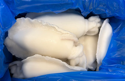 Cuttlefish, Whole (Cleaned),1-2, Frozen, IQF, India , NW, 22lbs, 20% Glaze