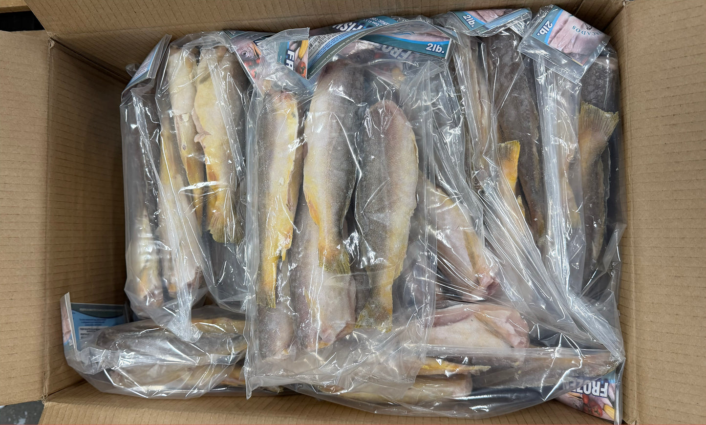 King Weakfish (Bangamary), 3-6 lb, Whole, Frozen, Brazil, AN, NW, 44 lb