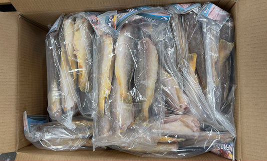 King Weakfish (Bangamary), 3-6 lb, Whole, Frozen, Brazil, AN, NW, 44 lb