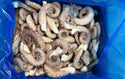 Octopus (Vulgaris), T6 (0.8-1.2 kg), LEGS Frozen, IQF, Morocco,  NW, 6 kg (13.23 lb)