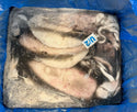 Squid (THONDI), U2, Whole, Block, Frozen, India, NW, 44lbs, (5 x8.8lbs) 10% Glaze