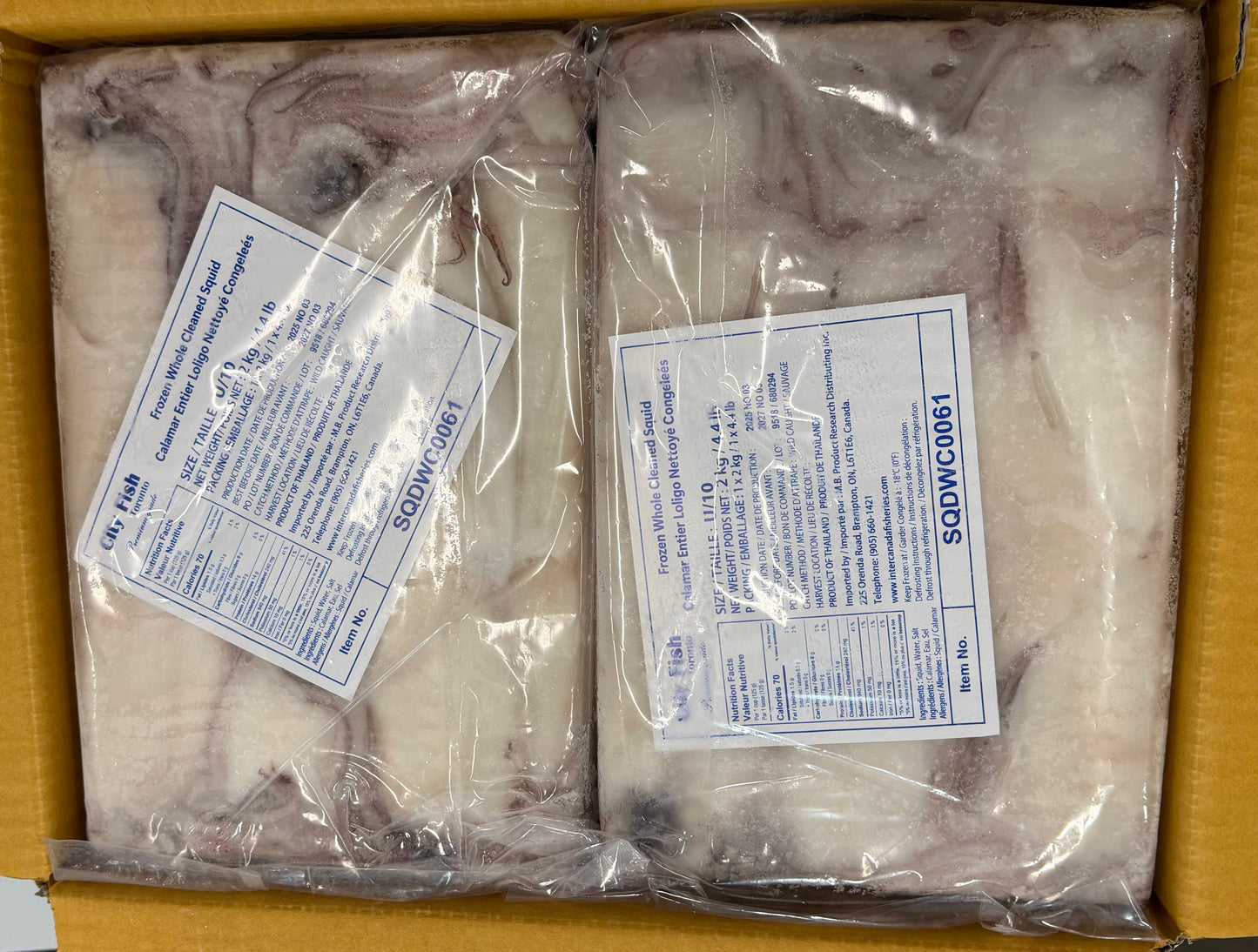 Squid (Loligo For.), U10, Whole, Cleaned, Frozen, City Fish, NW, 12kg, 6X2kg
