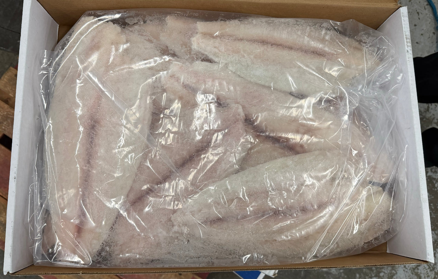 Halibut (California), 1-3 lb, Fillets, Skinless, Boneless, Frozen, IQF, NW, 20 lb