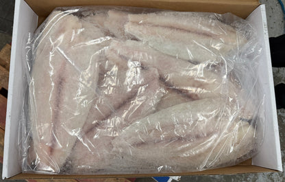 Halibut (California), 1-3 lb, Fillets, Skinless, Boneless, Frozen, IQF, NW, 20 lb