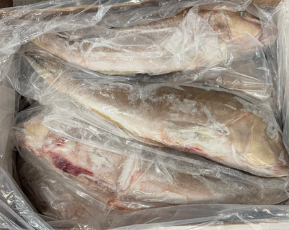 Snapper (Grey Tail),5-10 lb, Whole, Gutted, Frozen, Mexico, MM, NW, 55 lb